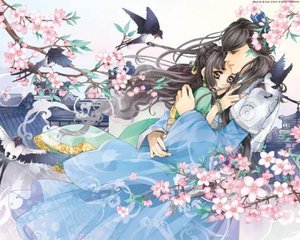 秋葵草莓茄子丝瓜榴莲